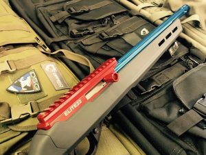 RUGER 1022 PATRIOT 2